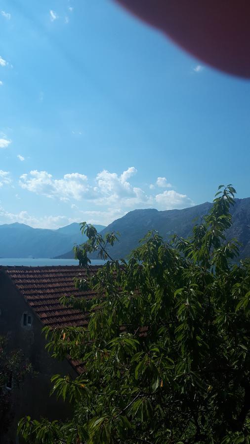 Apartments Katarina Kotor Luaran gambar